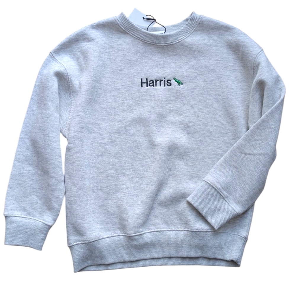 Zara boys sweatshirt Harris dinosaur embroidered personalized